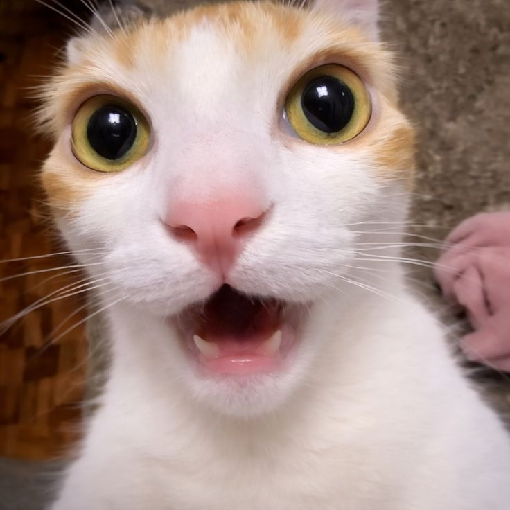 المنتج5255555555555555